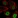 Anti-CEBPB Antibody