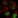 Anti-CEBPB Antibody