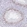 Anti-PBX2 Antibody