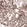 Anti-MSH6 Antibody