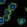 Anti-SKA3 Antibody