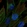 Anti-CDC42EP3 Antibody