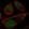 Anti-PRPF31 Antibody
