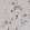 Anti-PMCH Antibody
