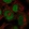 Anti-ZRANB2 Antibody