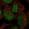 Anti-ZRANB2 Antibody