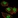Anti-ZNF605 Antibody