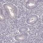 Immunohistochemical staining of human endometrium shows low expression as expected.