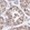 Anti-XRCC6 Antibody