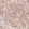 Anti-MSH3 Antibody