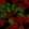 Anti-TLX2 Antibody