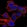 Anti-ZC3H10 Antibody