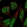 Anti-PANK3 Antibody