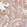 Anti-UBE2L3 Antibody