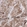 Anti-MSLN Antibody
