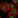 Anti-KCTD1 Antibody