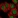 Anti-KCTD1 Antibody