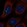Anti-MPPED2 Antibody