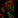 Anti-MSANTD3 Antibody