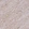 Anti-COX16 Antibody