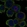 Anti-LRTM2 Antibody