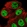 Anti-ATXN1L Antibody