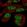 Anti-EYA3 Antibody