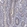 Anti-TMEM198 Antibody