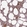 Anti-CWC25 Antibody