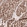 Anti-SMARCB1 Antibody