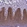 Anti-IRF6 Antibody