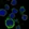 Anti-CCR2 Antibody