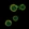 Anti-CD84 Antibody