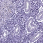 Immunohistochemical staining of human endometrium shows low expression as expected.