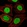 Anti-NFIC Antibody
