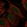 Anti-PFKFB2 Antibody