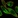 Anti-ABCA13 Antibody