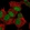 Anti-ZNF358 Antibody
