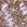 Anti-ZEB1 Antibody