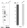 Anti-PPARG Antibody
