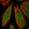 Anti-FANCD2 Antibody
