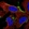 Anti-ANKRD13B Antibody