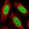 Anti-THRAP3 Antibody