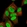 Anti-NUCKS1 Antibody