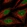 Anti-NUP188 Antibody