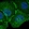 Anti-MBP Antibody