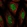Anti-ELK1 Antibody