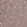 Anti-CDK5 Antibody