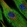 Anti-XPNPEP2 Antibody