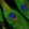 Anti-XPNPEP2 Antibody